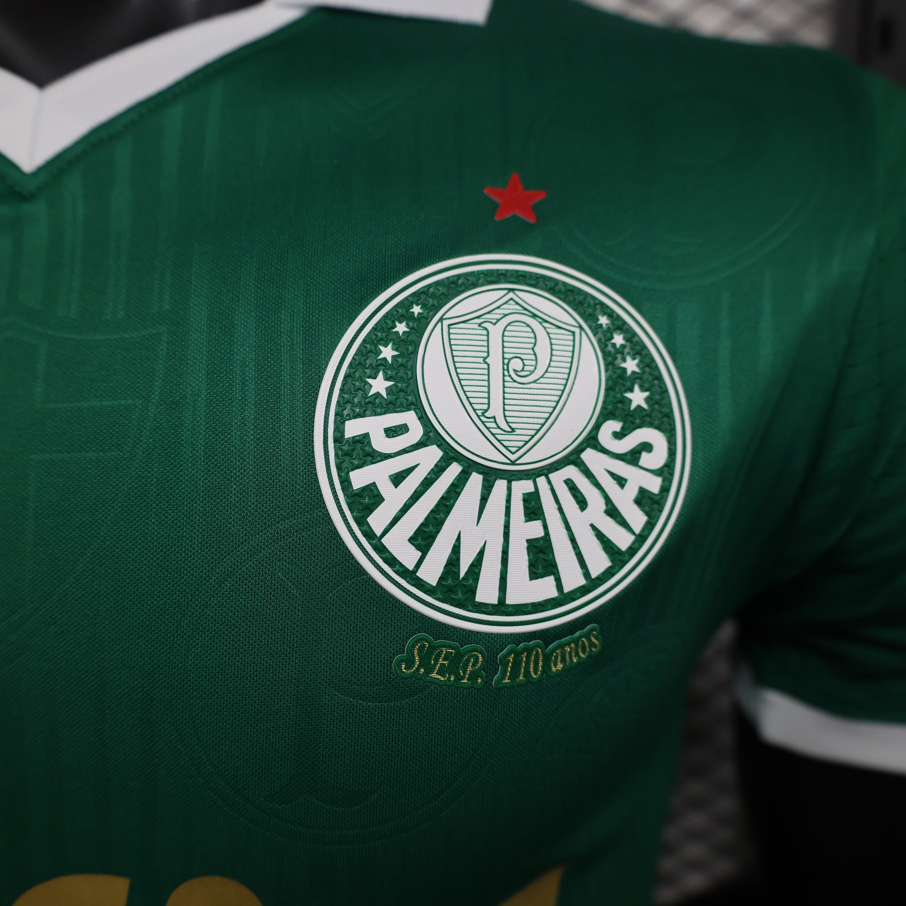 Camisa do Palmeiras Home 24/25 Jogador  Puma - Masculina
