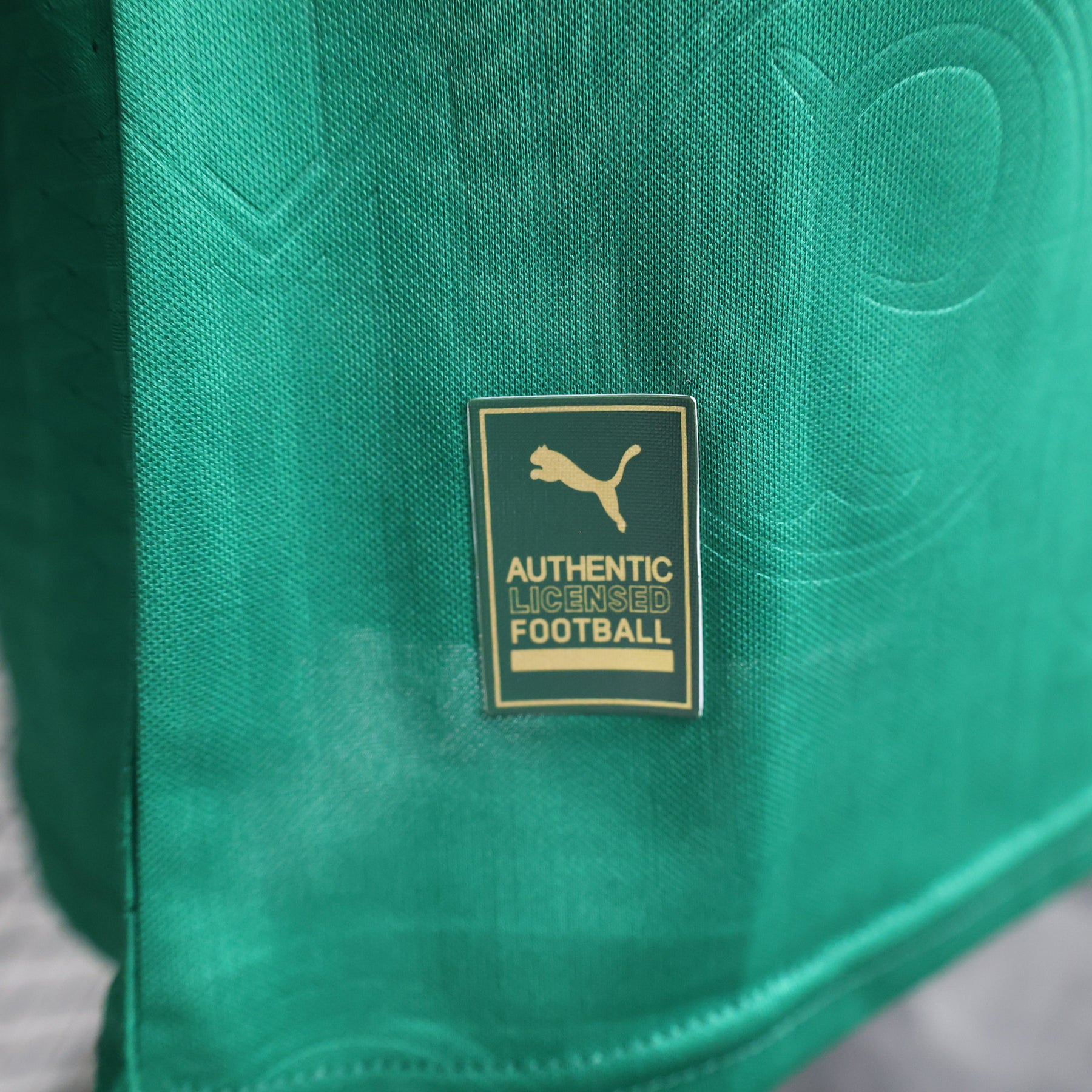 Camisa do Palmeiras Home 24/25 Jogador  Puma - Masculina